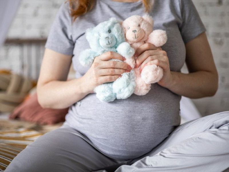 Blizanačka trudnoća (višeplodna trudnoća) - šta sve treba da znate?