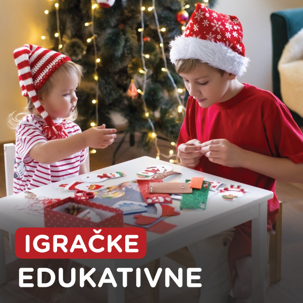 Description of Image 2