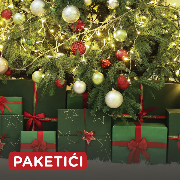 Description of Image 4