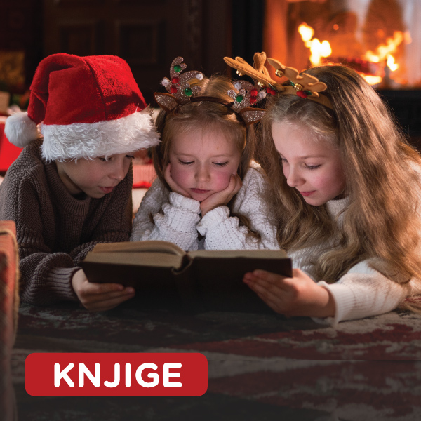 Description of Image 1