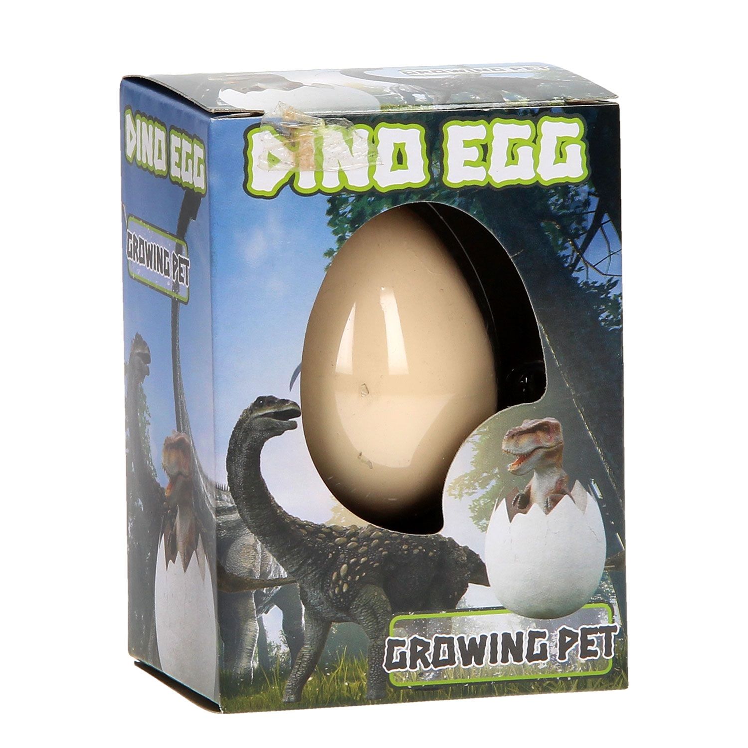 Egg toys