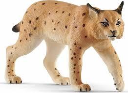 Ris