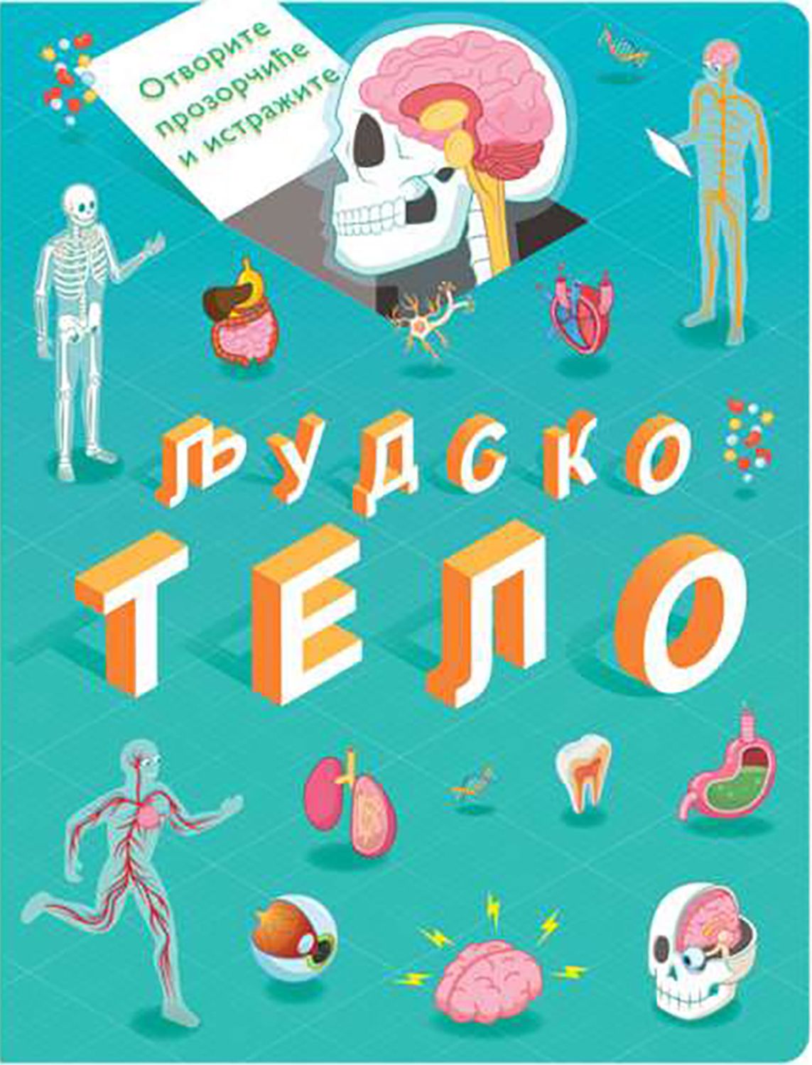 Otvorite prozorčiće i istražite: Ljudsko telo 