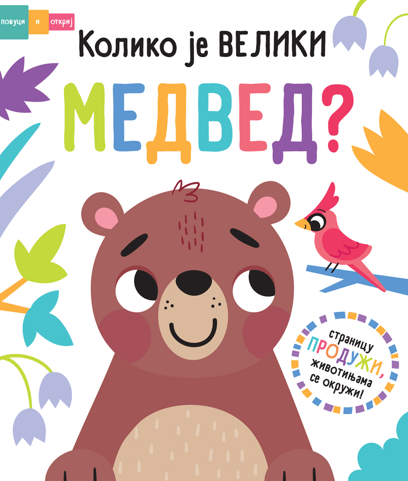 Publik Pr Povuci i otkrij-Koliko je veliki medved?
