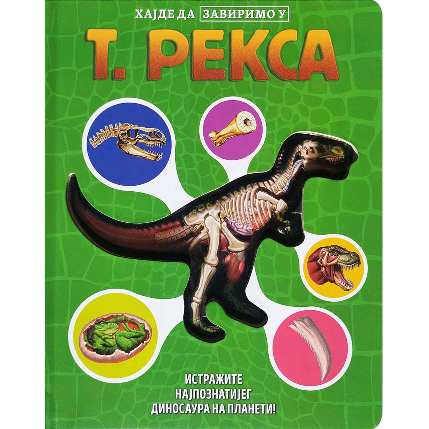 Vulkan Hajde da zavirimo u: T. Reksa