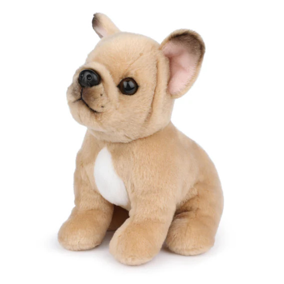 B.T. Chaps Philippe francuski buldog 17 cm 