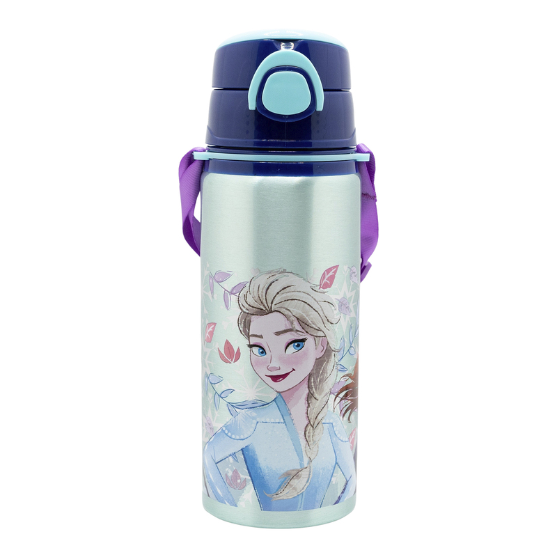 Stor aluminijumska flašica 730ml Frozen Snowy Tale