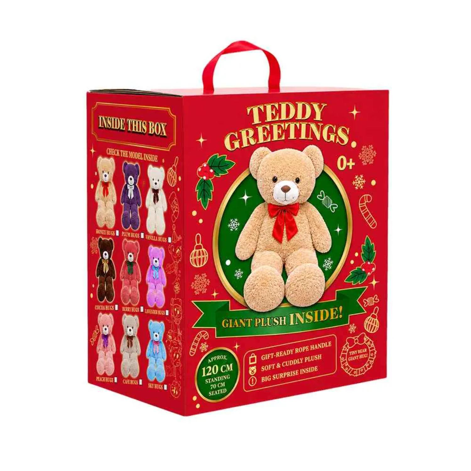 Red Box Teddy Greetings Bear Asst