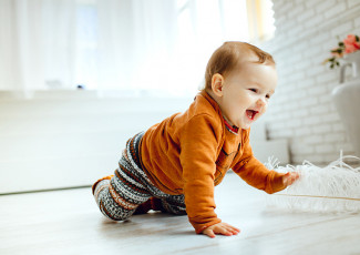 <h3>Razvoj bebe po mesecima</h3>