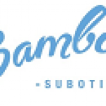 BAMBINO