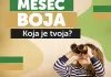 MESEČNA AKCIJA -  11 - MESEC BOJA