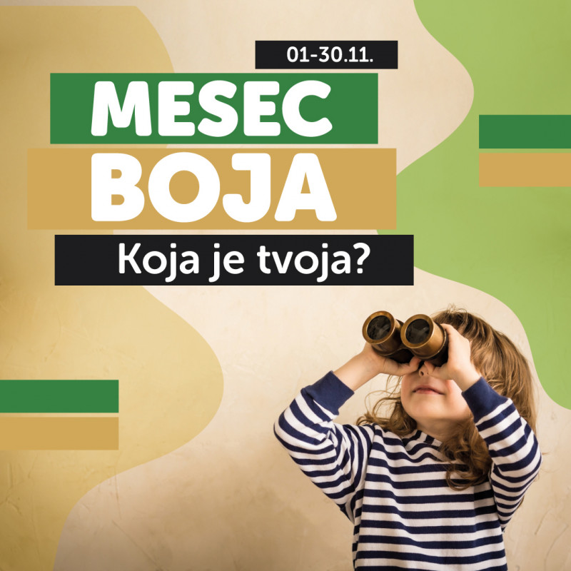 <h3>MESEČNA AKCIJA -  11 - MESEC BOJA</h3>