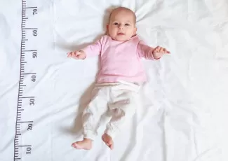 <h3>Težina i veličina bebe po nedeljama tokom trudnoće</h3>