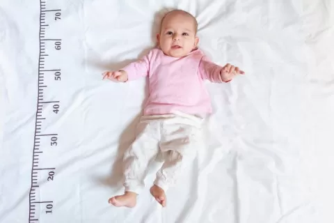 Težina i veličina bebe po nedeljama tokom trudnoće