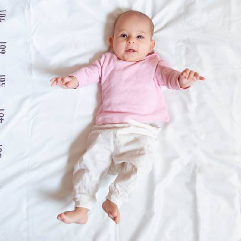 Težina i veličina bebe po nedeljama tokom trudnoće