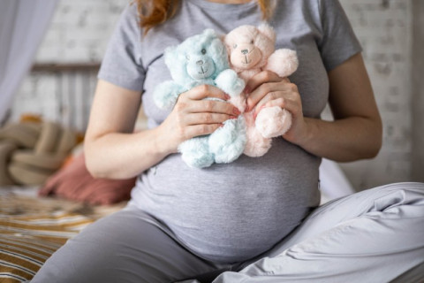 Blizanačka trudnoća (višeplodna trudnoća) - šta sve treba da znate?