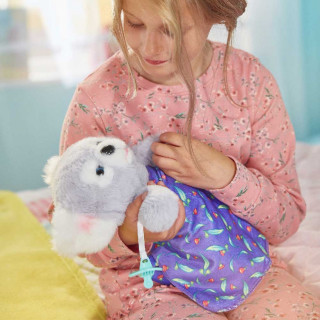 Cozy Dozy koala