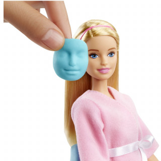 Barbie i ljubimac u spa salonu