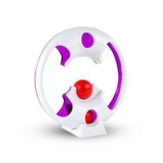 Loopy Looper Edge