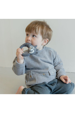 Natruba glodalica rakun, siva 