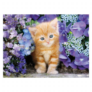 Clementoni puzzle 500 gattino rosso hqc