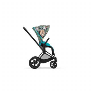 Cybex navlaka za kolica Priam 4.0., We the best