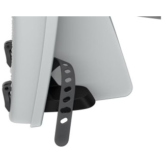 Thule sedište za bicikl Ride Along 2 Light Gray