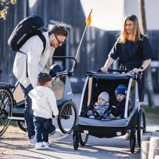 Thule priklolica/kolica Courier 2 N. Gold
