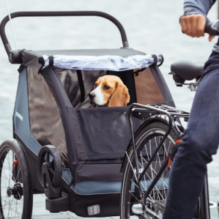 Thule priklolica/kolica Courier 2 N. Gold