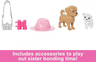 Barbie and Stacie To the Rescue