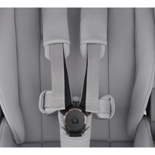 ANEX duo sistem Flo, Frossy 