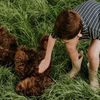 Koko Noko komplet 2/1 (majica kr, šorts), dečaci 