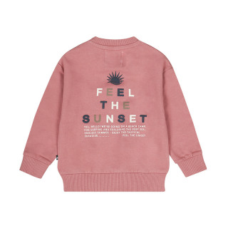 Dirkje duks, dečaci 