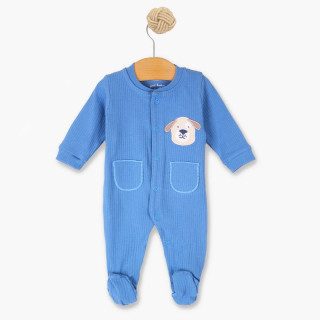 Just Kiddin zeka dr, dečaci 