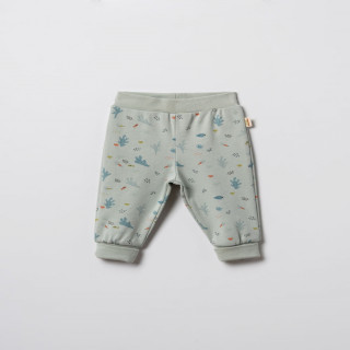 Baby Cosy pantalone bez stopica, set 2/1, unisex 