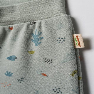 Baby Cosy pantalone bez stopica, set 2/1, unisex 