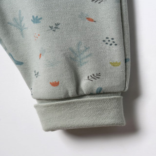 Baby Cosy pantalone bez stopica, set 2/1, unisex 