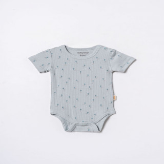 Baby Cosy bodi kr, set 2/1, dečaci 