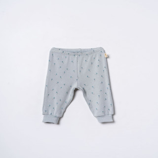 Baby Cosy pantalone bez stopica, set 2/1, dečaci 