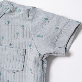 Baby Cosy komplet 2/1 (majica kr, šorts), dečaci 