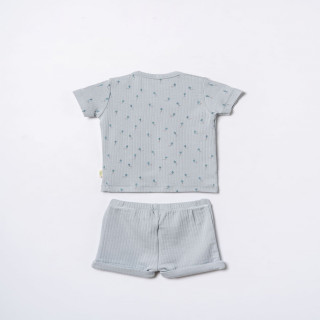 Baby Cosy komplet 2/1 (majica kr, šorts), dečaci 