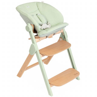 Chicco hranilica Meraviglia, Olive 