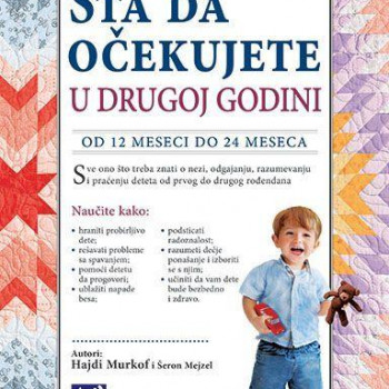 Kreativni centar, Šta da očekujete u drugoj godini 