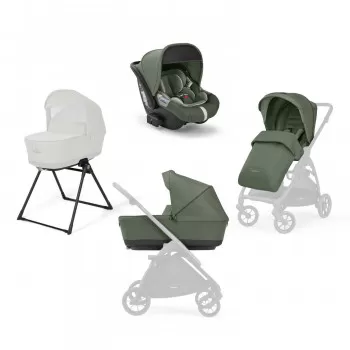 Inglesina sist.Electa s.d., nos., as Cab, TriGreen