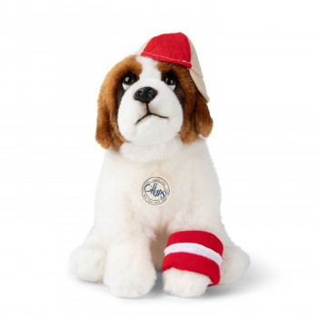 B.T.Chaps Herman bernandinac 32cm 