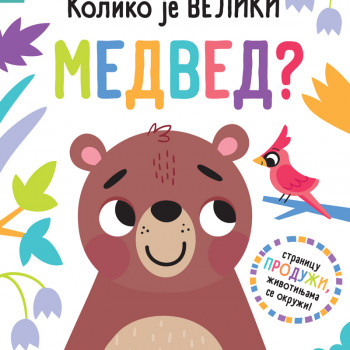 Publik Pr Povuci i otkrij-Koliko je veliki medved? 