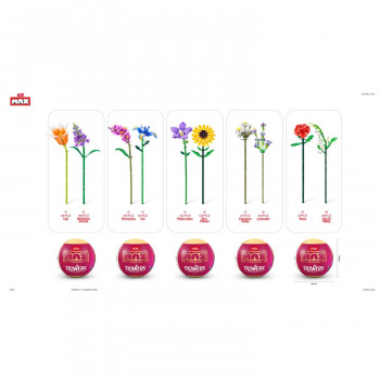 Max Premium Flowers – 10 vrsta cveća 