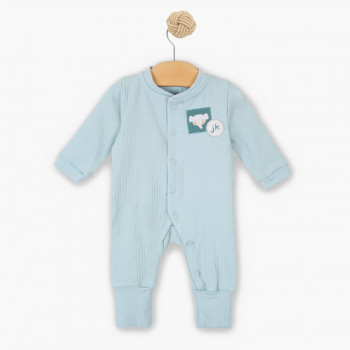 Just Kiddin zeka dr, dečaci 