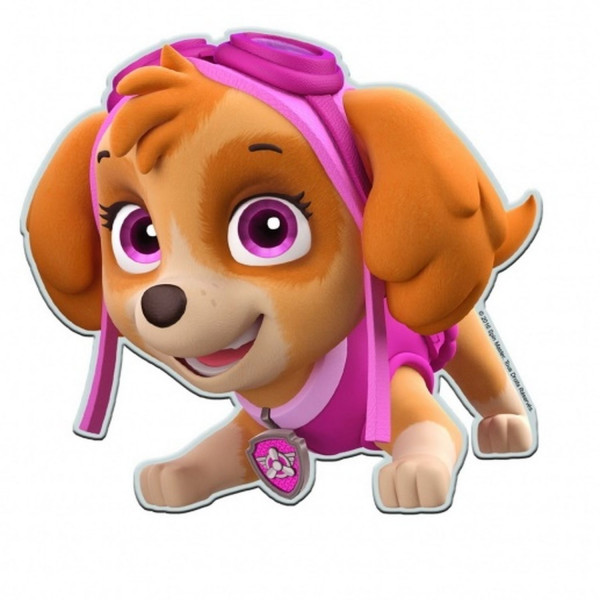 Paw Patrol Zidna lampa Skye 23cm