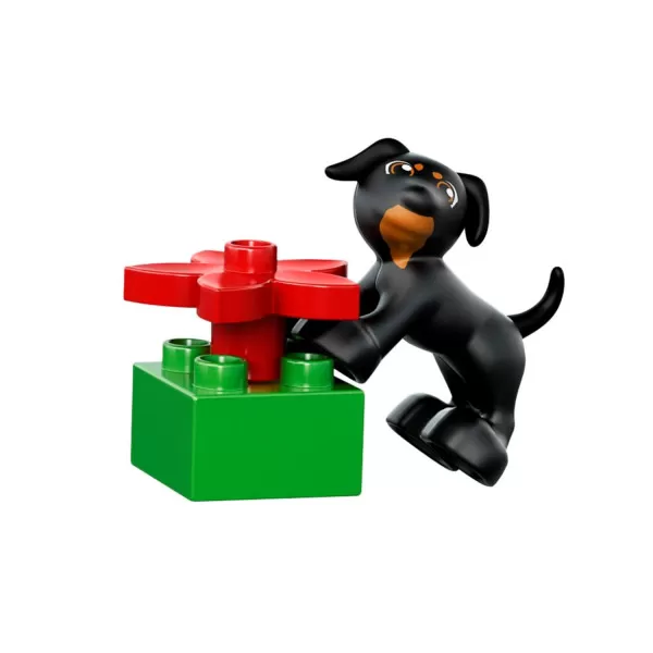 Lego classic creative bricks